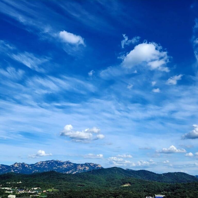 종부세 합산배제·과세특례 9월 30일까지 신청하세요.